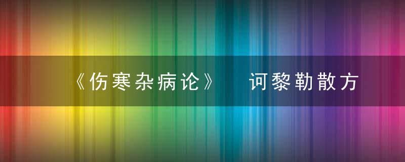 《伤寒杂病论》 诃黎勒散方